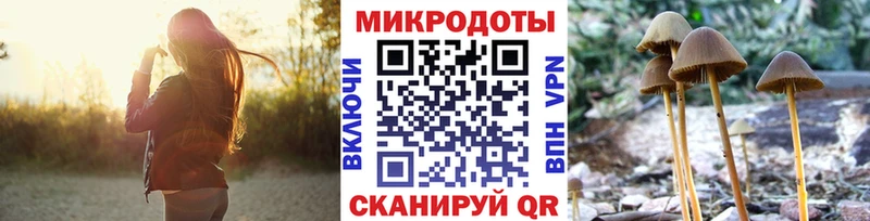 Галлюциногенные грибы GOLDEN TEACHER  Новый Уренгой 